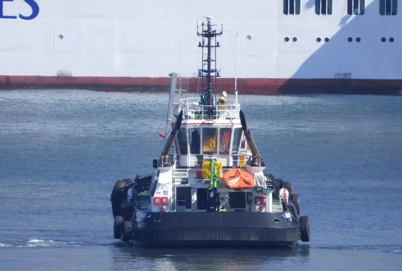 IBAIZABAL DOCE Bulk Carrier IMO 9784790 photo 3