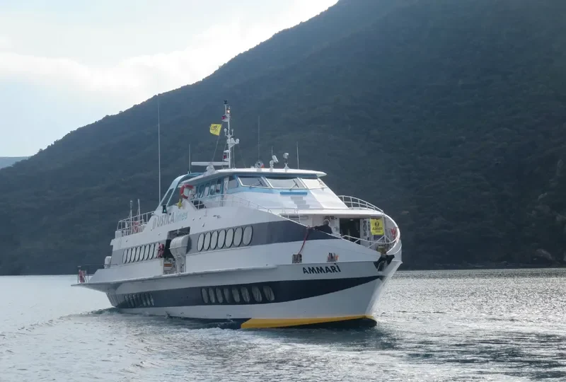 AMMARI General Cargo IMO 9784867 photo 3