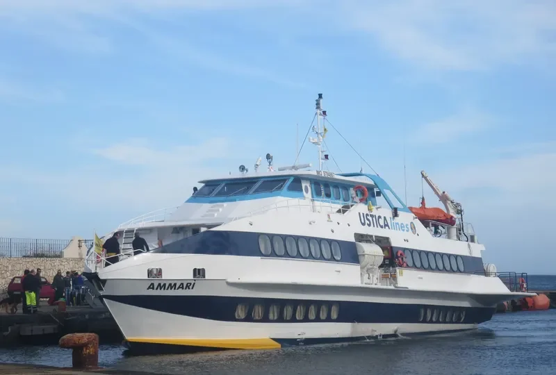 AMMARI General Cargo IMO 9784867 photo 9