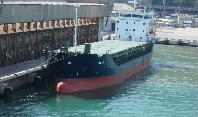 TELMO General Cargo IMO 9786798 photo 10