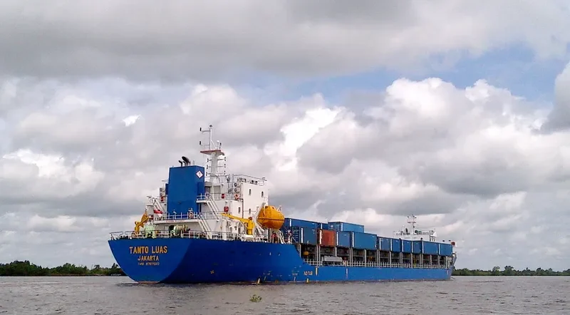 TANTO LUAS Container Ship IMO 9787522