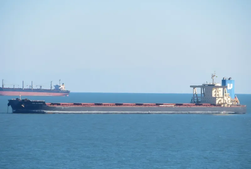 NSU ULTIMATE Bulk Carrier IMO 9790878
