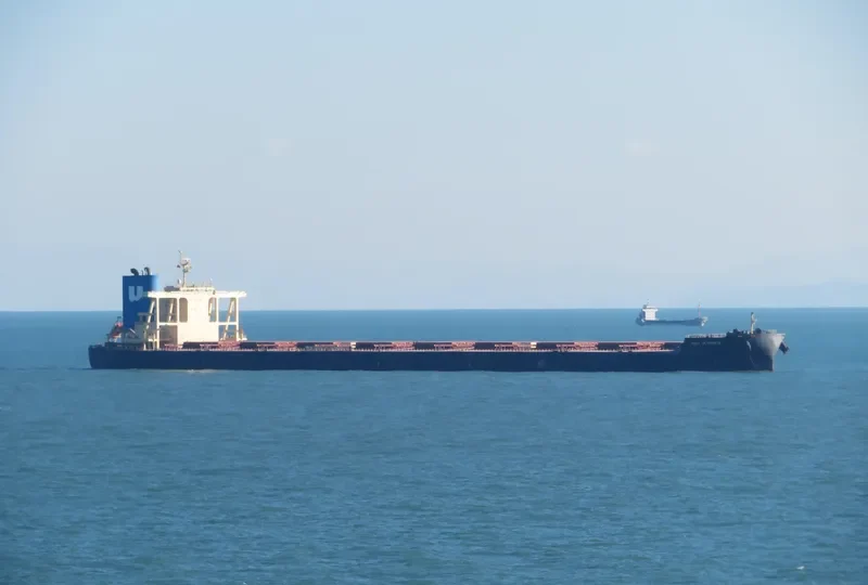 NSU ULTIMATE Bulk Carrier IMO 9790878 photo 2