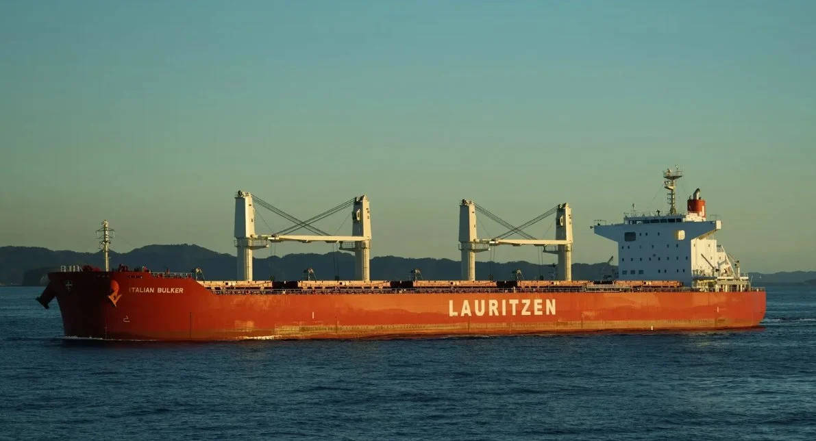 UNITY LIFE Bulk Carrier IMO 9790933 photo 4