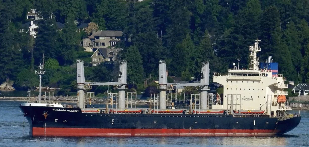 UNITY HARMONY Bulk Carrier IMO 9791054 photo 6