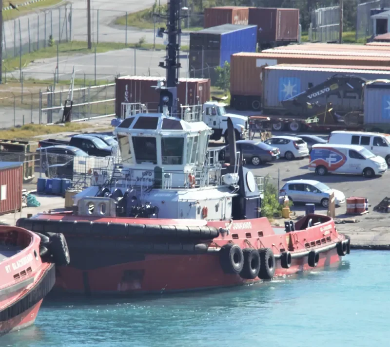 SD JUNKANOO General Cargo IMO 9791664 photo 4