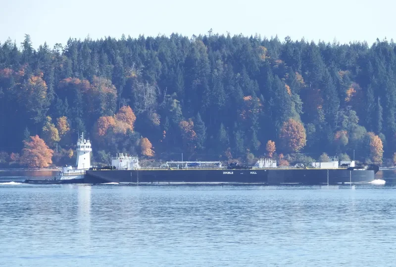 JAKE SHEARER General Cargo IMO 9792773 photo 2
