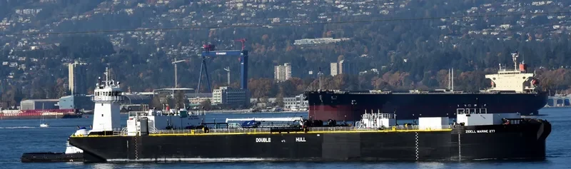 JAKE SHEARER General Cargo IMO 9792773 photo 4