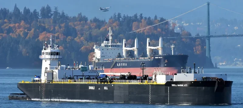 JAKE SHEARER General Cargo IMO 9792773 photo 5