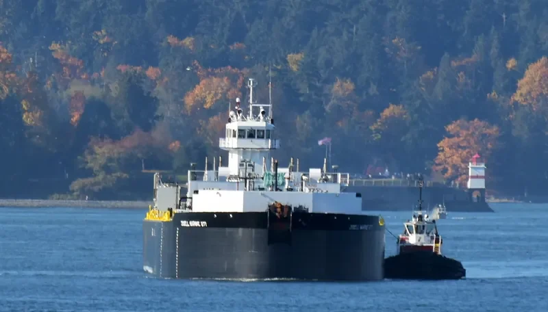 JAKE SHEARER General Cargo IMO 9792773 photo 6