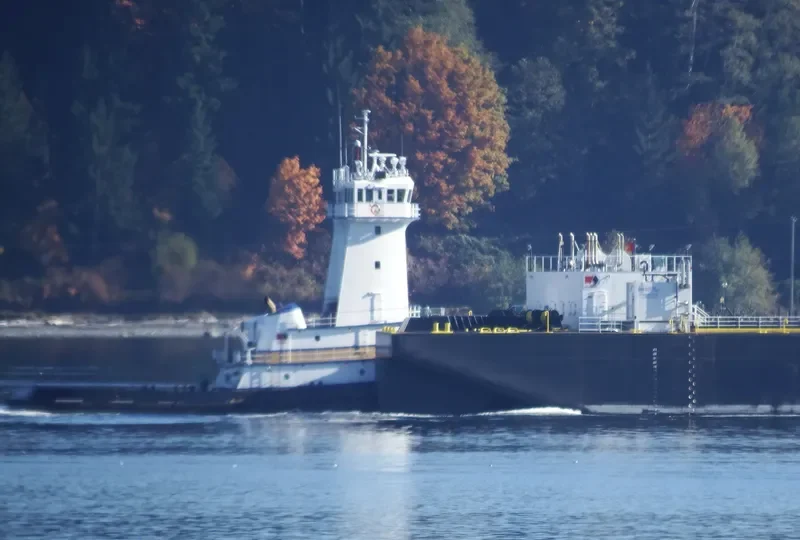 JAKE SHEARER General Cargo IMO 9792773 photo 9