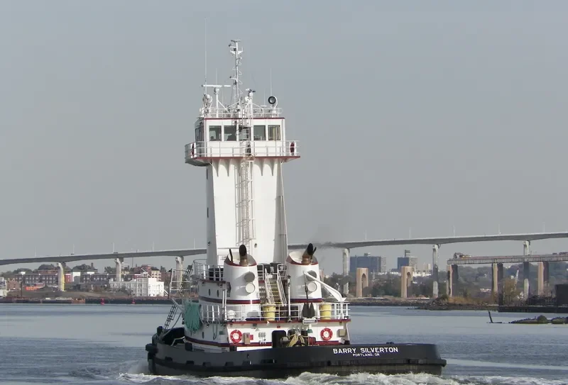 BARRY SILVERTON General Cargo IMO 9792785 photo 2