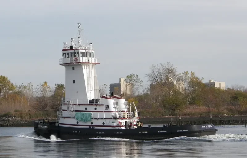 BARRY SILVERTON General Cargo IMO 9792785 photo 4