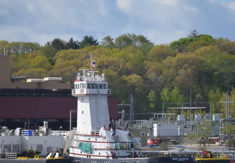 BARRY SILVERTON General Cargo IMO 9792785 photo 8