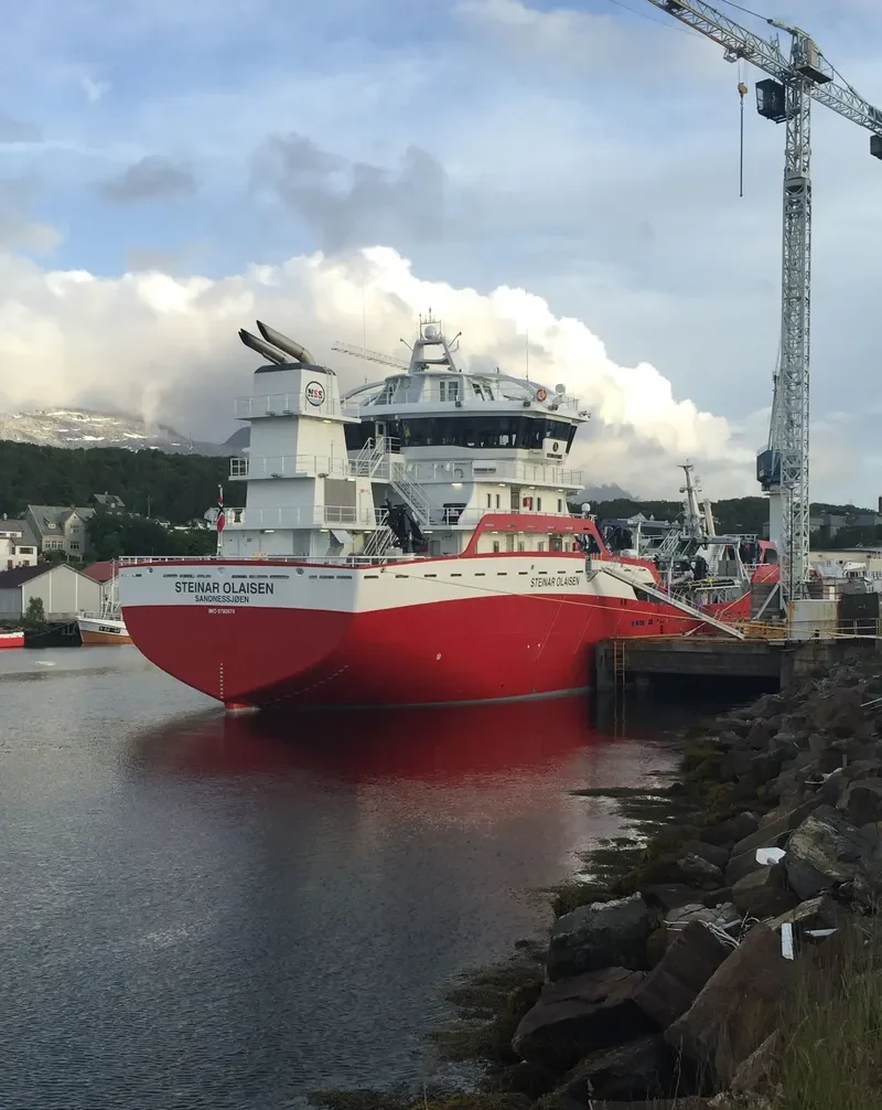 STEINAR OLAISEN General Cargo IMO 9793674 photo 4