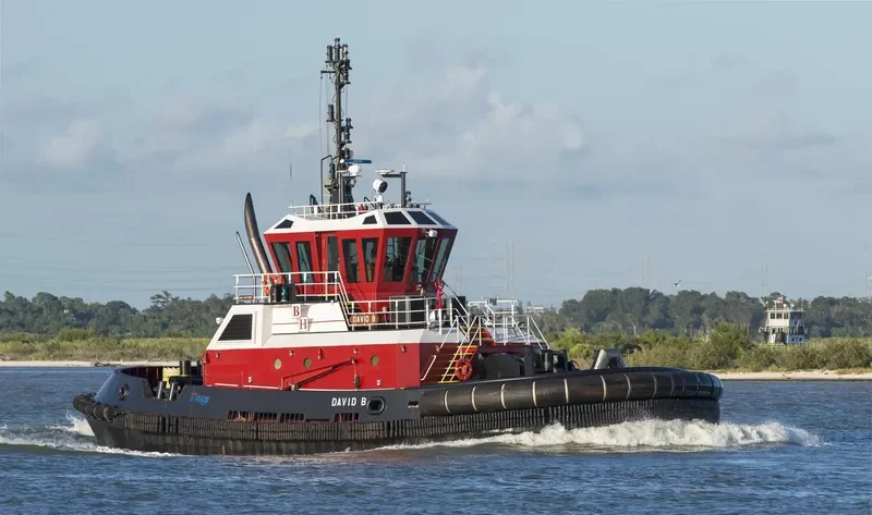 DAVID B. General Cargo IMO 9794197 photo 2