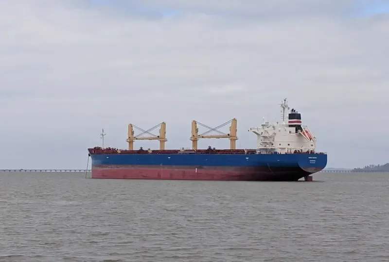 BAHRI GHADAH Bulk Carrier IMO 9799795 photo 4