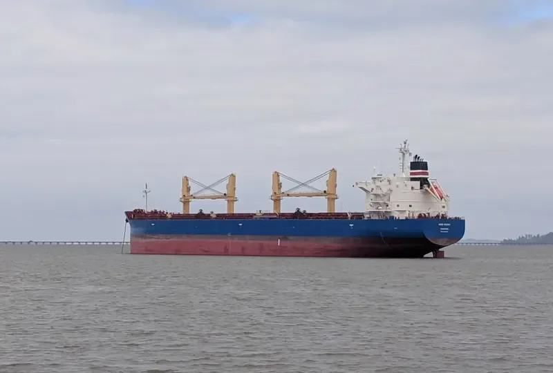 BAHRI GHADAH Bulk Carrier IMO 9799795 photo 5