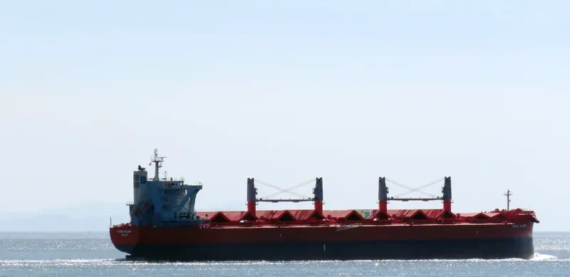 PEARL ISLAND Bulk Carrier IMO 9801720 photo 3