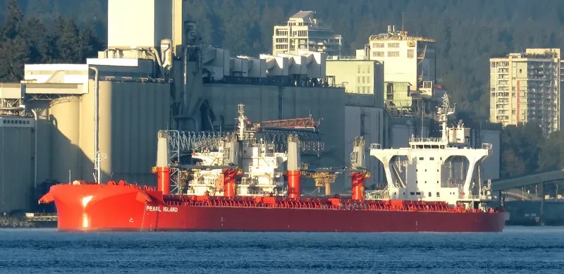 PEARL ISLAND Bulk Carrier IMO 9801720 photo 4