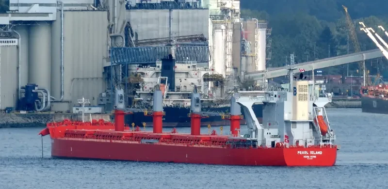 PEARL ISLAND Bulk Carrier IMO 9801720 photo 5