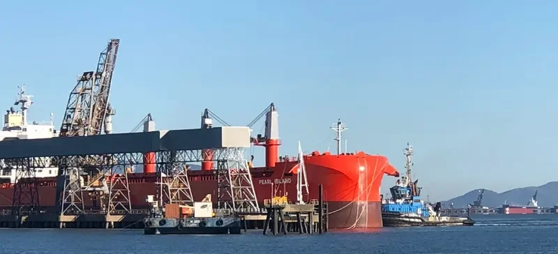 PEARL ISLAND Bulk Carrier IMO 9801720 photo 16