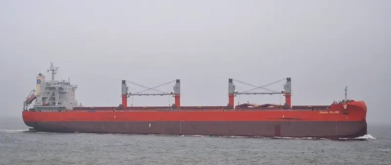PEARL ISLAND Bulk Carrier IMO 9801720 photo 38