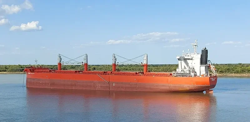 AL KARAMA Bulk Carrier IMO 9801732 photo 19