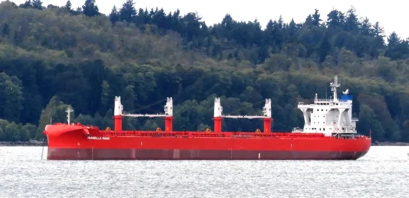 AL KARAMA Bulk Carrier IMO 9801732 photo 65