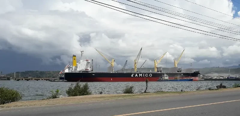 MEDI ASTORIA Bulk Carrier IMO 9806770 photo 2