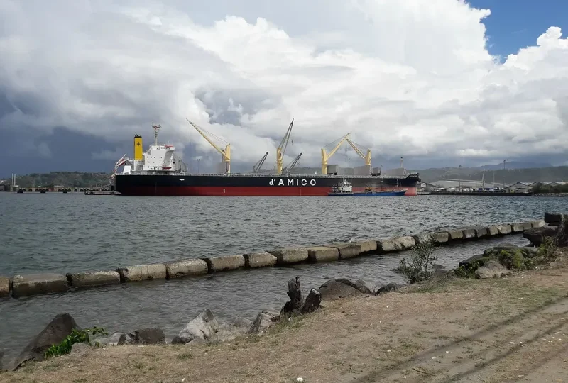 MEDI ASTORIA Bulk Carrier IMO 9806770 photo 3