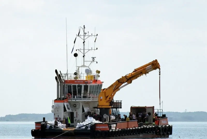 PANDA General Cargo IMO 9807798 photo 7