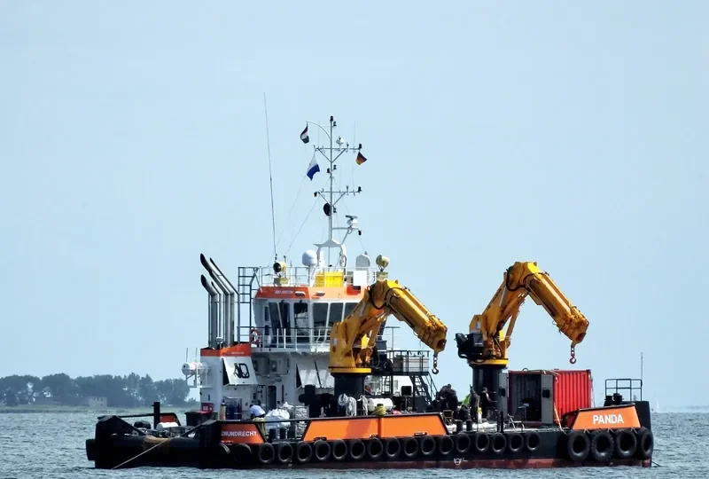 PANDA General Cargo IMO 9807798 photo 9