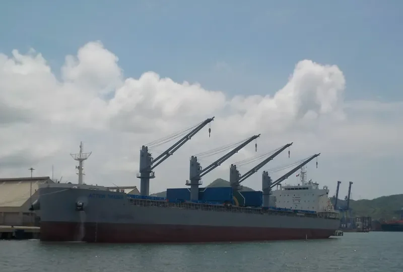 ACTION TRADER Bulk Carrier IMO 9808663