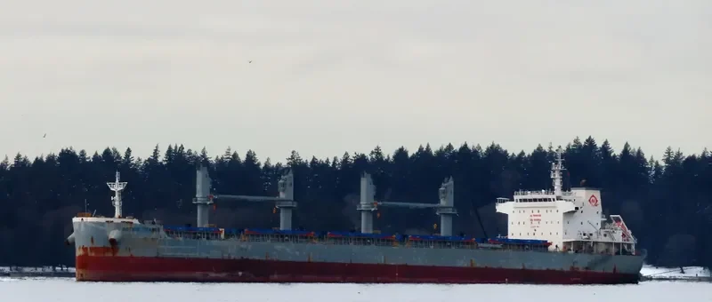 ACTION TRADER Bulk Carrier IMO 9808663 photo 10