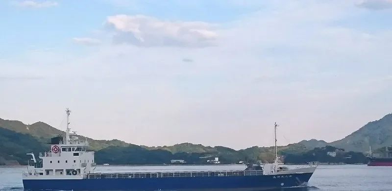 BIYOU MARU NO.8 General Cargo IMO 9809320