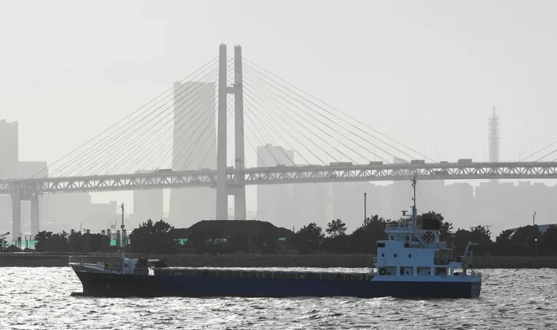 BIYOU MARU NO.8 General Cargo IMO 9809320 photo 7
