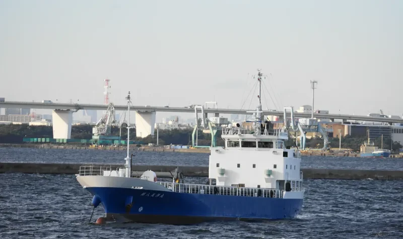 BIYOU MARU NO.8 General Cargo IMO 9809320 photo 8