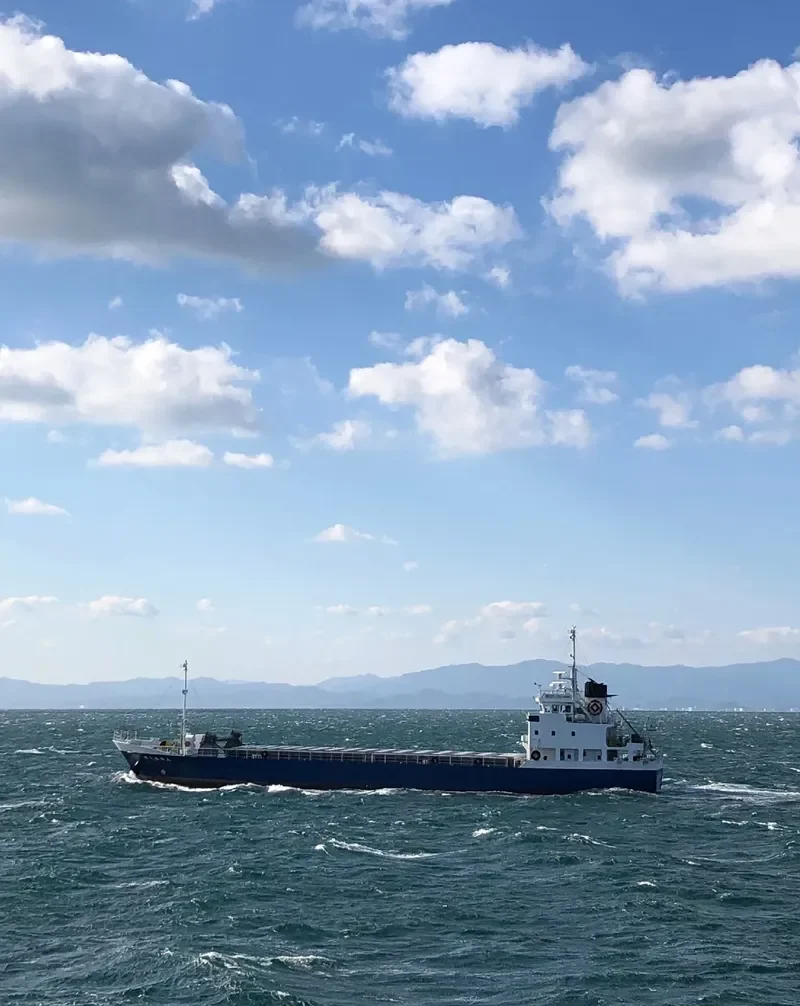BIYOU MARU NO.8 General Cargo IMO 9809320 photo 9