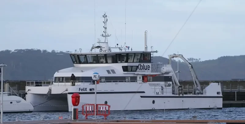 FELIX General Cargo IMO 9811139 photo 8