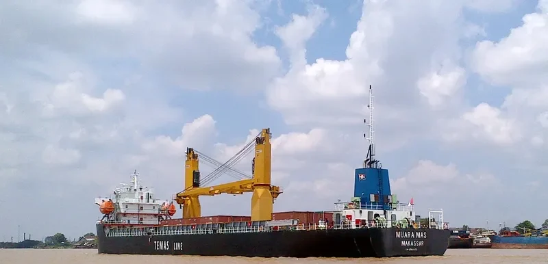 MUARA MAS Container Ship IMO 9813175 photo 2