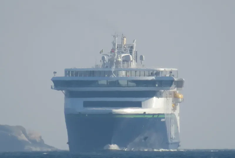 COLOR HYBRID Ro-Ro IMO 9824289 photo 4