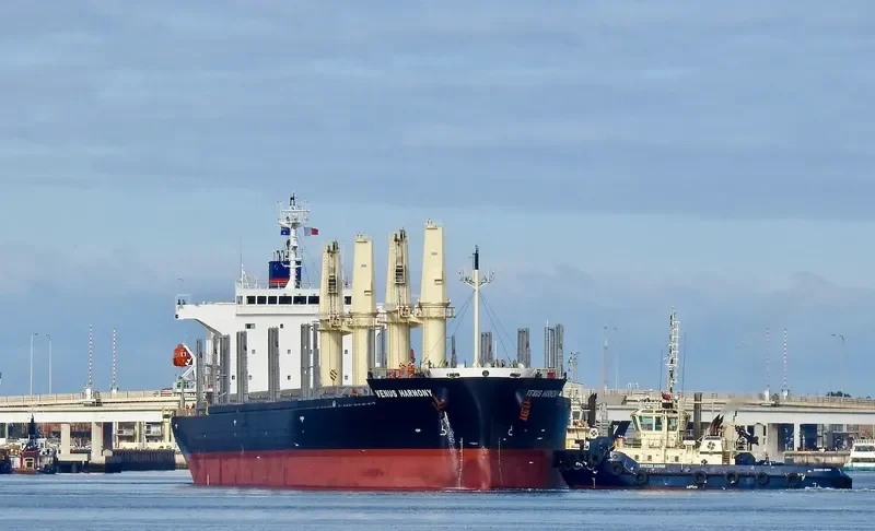 UNITY LIGHT Bulk Carrier IMO 9832444 photo 4