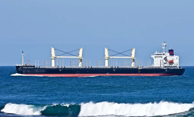 UNITY LIGHT Bulk Carrier IMO 9832444 photo 24