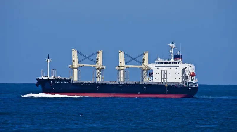 UNITY LIGHT Bulk Carrier IMO 9832444 photo 47