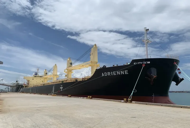 ADRIENNE Bulk Carrier IMO 9832509 photo 3