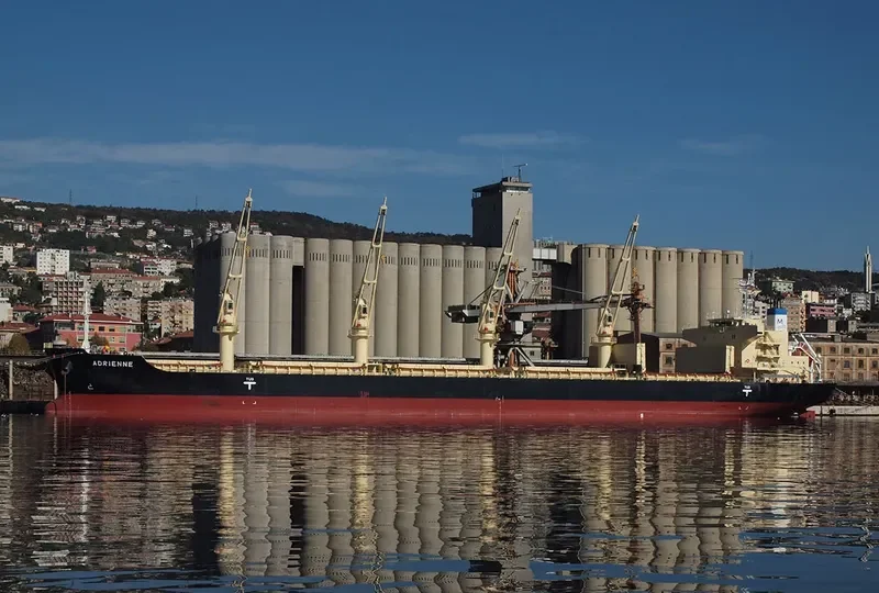 ADRIENNE Bulk Carrier IMO 9832509 photo 4