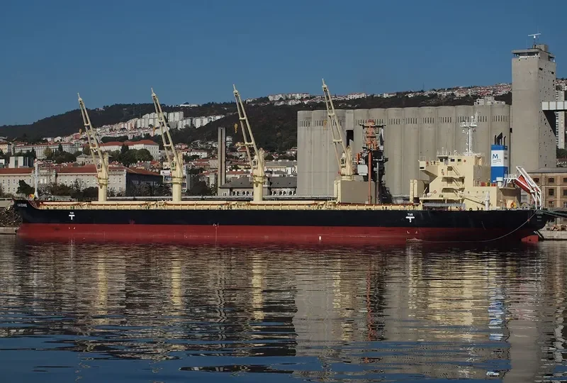ADRIENNE Bulk Carrier IMO 9832509 photo 5