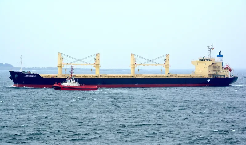 ADRIENNE Bulk Carrier IMO 9832509 photo 7