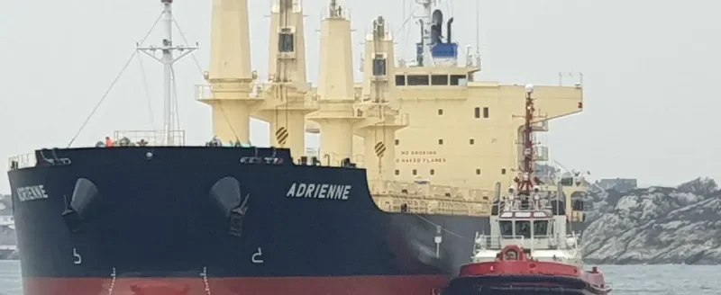 ADRIENNE Bulk Carrier IMO 9832509 photo 12